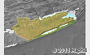Satellite Map of Zavala, desaturated