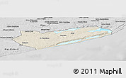 Shaded Relief Panoramic Map of Zavala, desaturated
