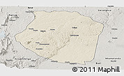 Shaded Relief Panoramic Map of Gondola, semi-desaturated