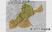 Satellite 3D Map of Mossurize, lighten, desaturated