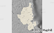 Shaded Relief Map of Memba, darken, desaturated