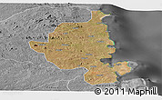 Satellite Panoramic Map of Memba, desaturated