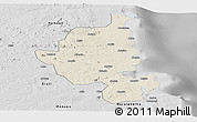 Shaded Relief Panoramic Map of Memba, desaturated