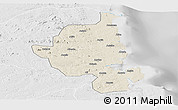 Shaded Relief Panoramic Map of Memba, lighten, desaturated