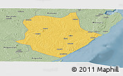 Savanna Style Panoramic Map of Mongincual