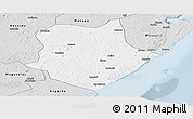 Silver Style Panoramic Map of Mongincual