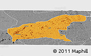 Political Panoramic Map of Namapa, desaturated