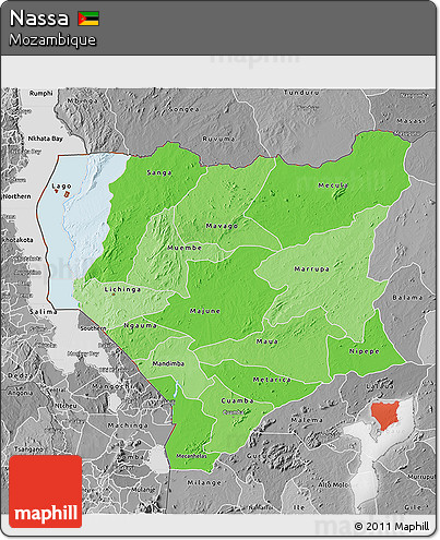 Political Shades 3D Map of Nassa, desaturated