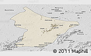 Shaded Relief Panoramic Map of Cuamba, desaturated