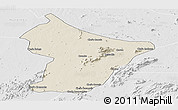 Shaded Relief Panoramic Map of Cuamba, lighten, desaturated