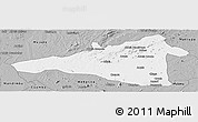 Gray Panoramic Map of Maua