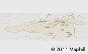 Shaded Relief Panoramic Map of Maua, lighten, semi-desaturated