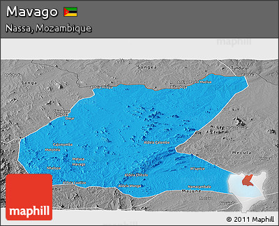 Political Panoramic Map of Mavago, desaturated