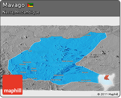 Political Panoramic Map of Mavago, desaturated