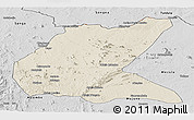 Shaded Relief Panoramic Map of Mavago, desaturated