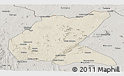 Shaded Relief Panoramic Map of Mavago, semi-desaturated