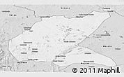 Silver Style Panoramic Map of Mavago