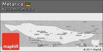 Gray Panoramic Map of Metarica