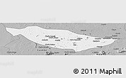 Gray Panoramic Map of Metarica