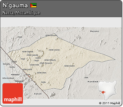 Shaded Relief 3D Map of N'gauma, semi-desaturated