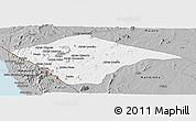Gray Panoramic Map of N'gauma