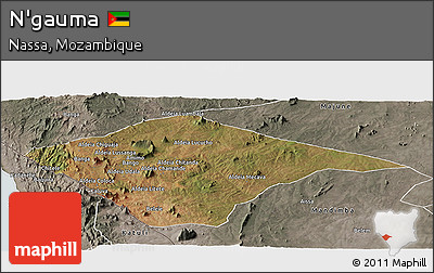 Satellite Panoramic Map of N'gauma, semi-desaturated