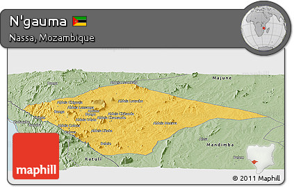 Savanna Style Panoramic Map of N'gauma