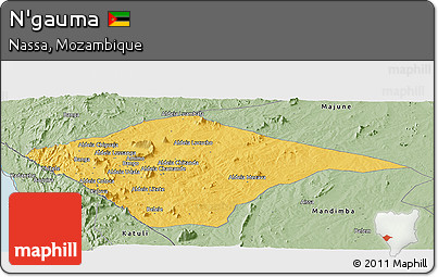Savanna Style Panoramic Map of N'gauma
