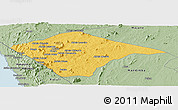 Savanna Style Panoramic Map of N'gauma