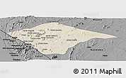 Shaded Relief Panoramic Map of N'gauma, darken, desaturated