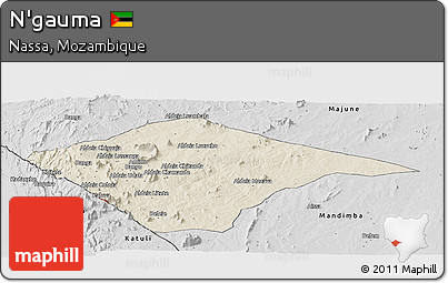Shaded Relief Panoramic Map of N'gauma, desaturated
