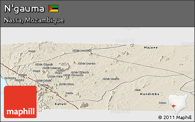 Shaded Relief Panoramic Map of N'gauma