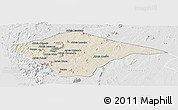 Shaded Relief Panoramic Map of N'gauma, lighten, desaturated