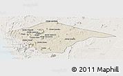 Shaded Relief Panoramic Map of N'gauma, lighten