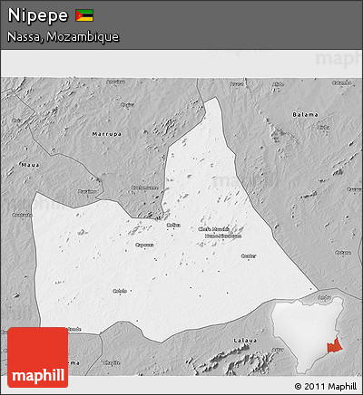 Gray 3D Map of Nipepe