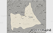 Shaded Relief 3D Map of Nipepe, darken, semi-desaturated