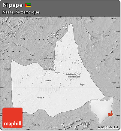 Gray Map of Nipepe