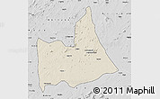 Shaded Relief Map of Nipepe, desaturated