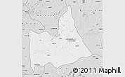 Silver Style Map of Nipepe