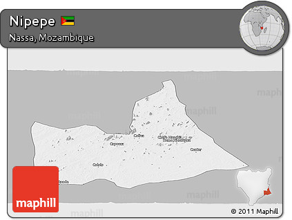 Gray Panoramic Map of Nipepe, single color outside