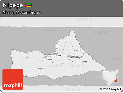 Gray Panoramic Map of Nipepe, single color outside