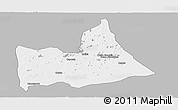 Gray Panoramic Map of Nipepe, single color outside