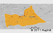Political Panoramic Map of Nipepe, lighten, desaturated