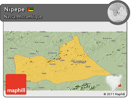 Savanna Style Panoramic Map of Nipepe