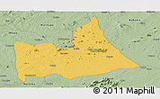 Savanna Style Panoramic Map of Nipepe