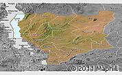 Satellite Panoramic Map of Nassa, desaturated