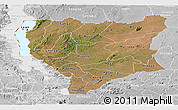 Satellite Panoramic Map of Nassa, lighten, desaturated