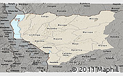 Shaded Relief Panoramic Map of Nassa, darken, semi-desaturated