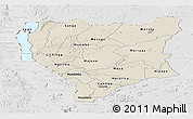 Shaded Relief Panoramic Map of Nassa, lighten, desaturated