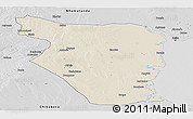 Shaded Relief Panoramic Map of Buzi, desaturated
